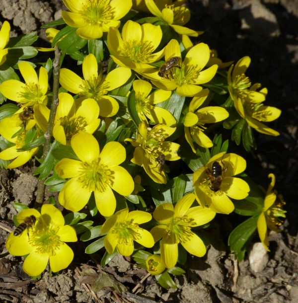 Jutta – Heilderberg – Allemagne
