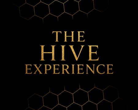 The Hive Experience – 6-week Online Course