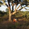 September BeeRetreat