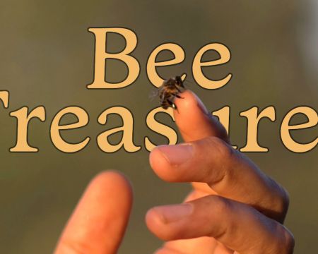 On-demand Online Course — Bee Treasures