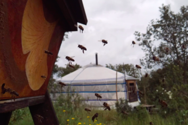Bee Happy