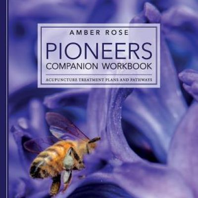 Book | Pioneers Companion Workbook: Acupuncture Treatment Plans and Pathways